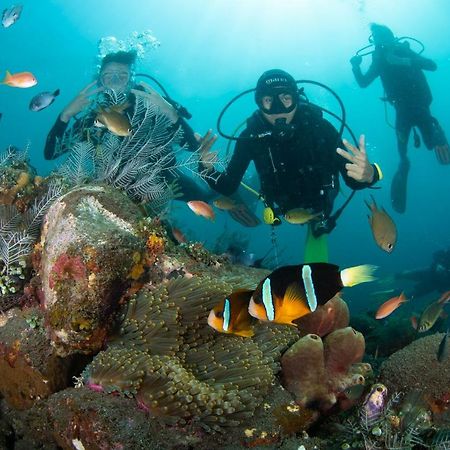 Bali Dive Resort Amed מראה חיצוני תמונה