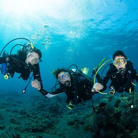 Bali Dive Resort Amed מראה חיצוני תמונה