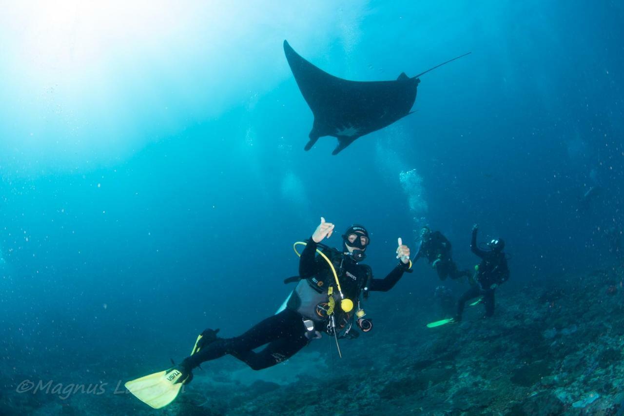 Bali Dive Resort Amed מראה חיצוני תמונה